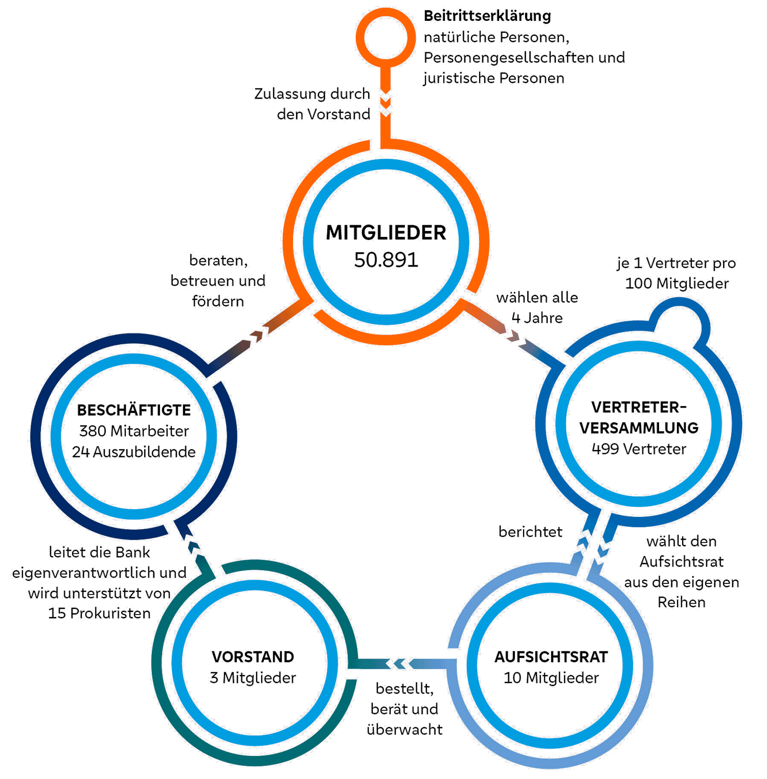 Schaubild Mitgliederbestimmung