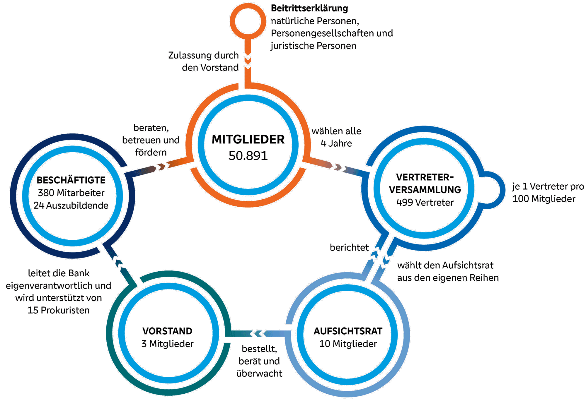 Schaubild Mitgliederbestimmung